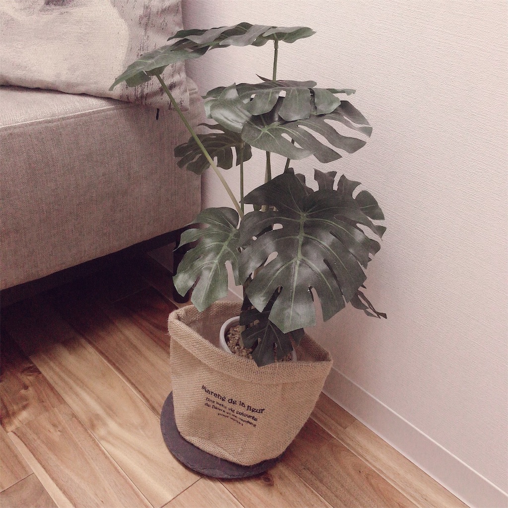 f:id:hsphtrn:20200111072555j:image