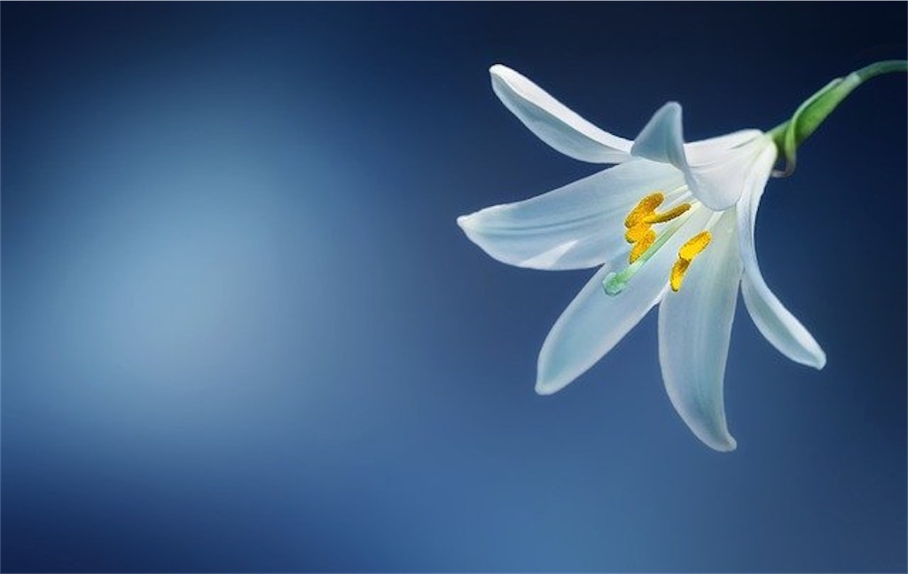 f:id:hspnayami:20211012193636j:plain
