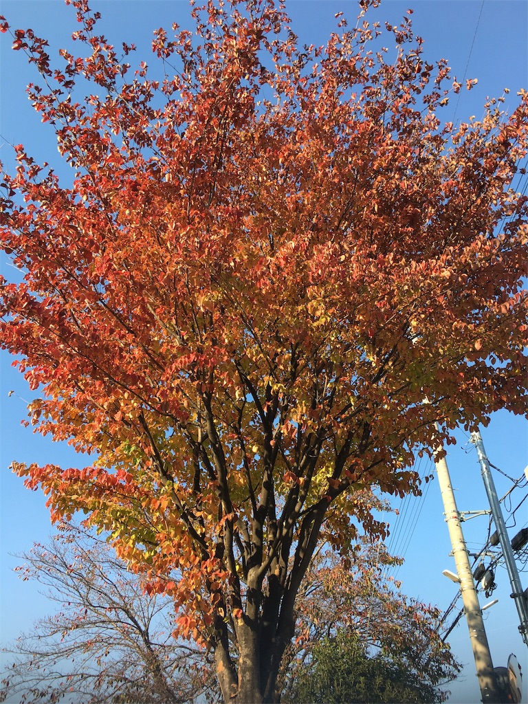 f:id:hsprei:20181112200059j:image