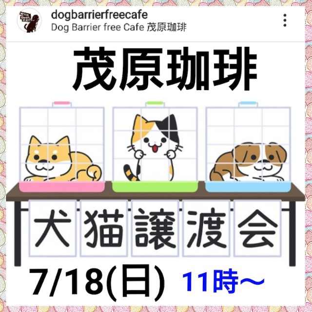 イベントレポ 茂原珈琲イベント ｍｏｏｎ ｄｅｓｅｒｔ 犬の洋服 ハルさん 食べるの 大好き 食いしん坊 日記