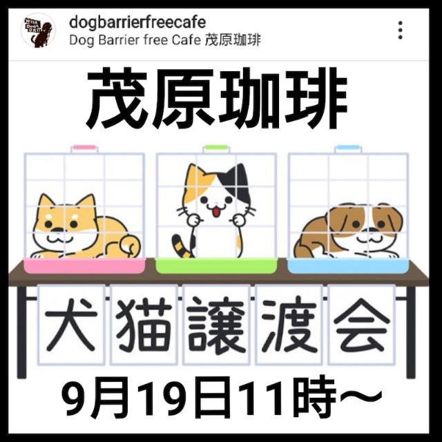 イベントレポ 茂原珈琲イベント ｍｏｏｎ ｄｅｓｅｒｔ ハンドメイド 犬の洋服屋さん ハルさん 食べるの 大好き 食いしん坊 日記