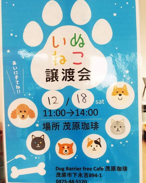 イベントレポ 茂原珈琲イベント ｍｏｏｎ ｄｅｓｅｒｔ ハンドメイド 犬の洋服 ハルさん 食べるの 大好き 食いしん坊 日記
