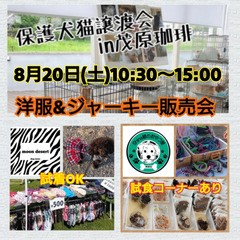 f:id:hsruhsru:20220818053525j:image
