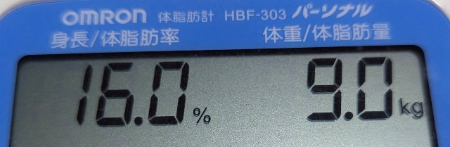 f:id:hsruhsru:20240913203501j:image