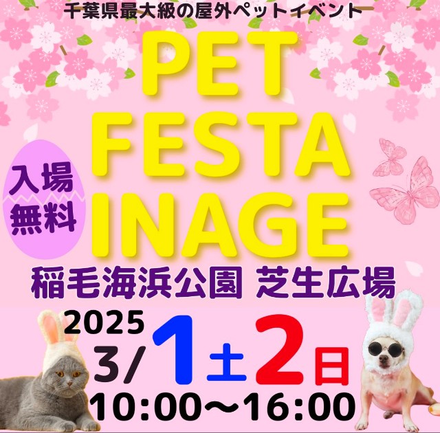 f:id:hsruhsru:20250224053816j:image f:id:hsruhsru:20250224053816j:image