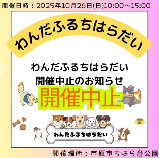f:id:hsruhsru:20251024221037j:image