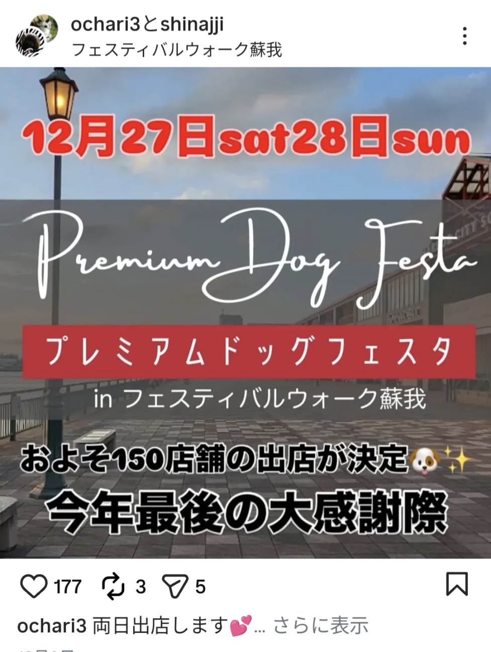 f:id:hsruhsru:20251221091234j:image f:id:hsruhsru:20251221091234j:image