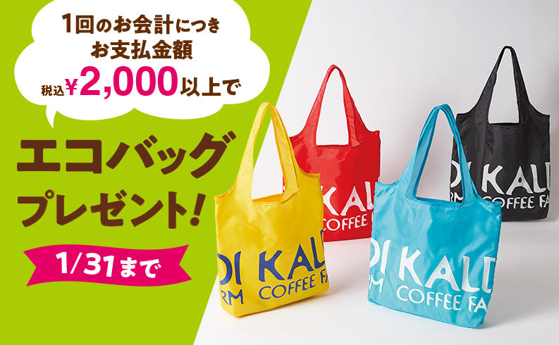 f:id:ht0401003z:20210117130829j:plain