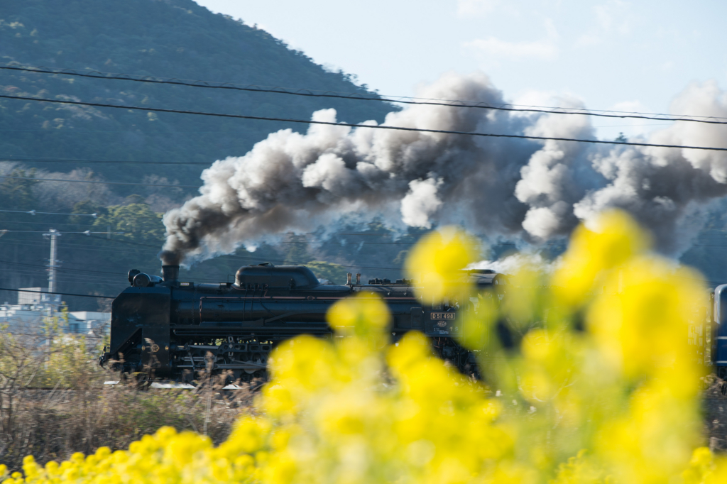 f:id:htakeno259:20170128083825j:plain f:id:htakeno259:20170128083825j:plain