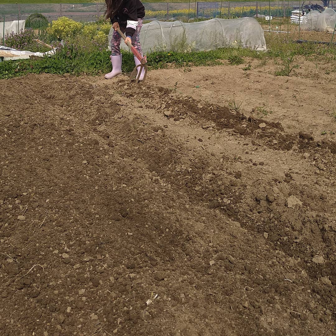 f:id:htakenohito:20210328103619j:plain