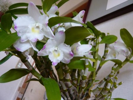 f:id:htanisan:20090409145246j:image