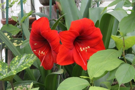 f:id:htanisan:20120602133202j:image