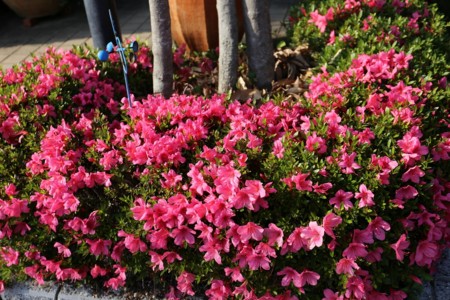 f:id:htanisan:20130524163432j:image