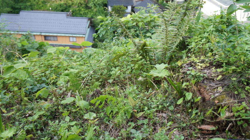 f:id:htcb8810:20170718083552j:plain