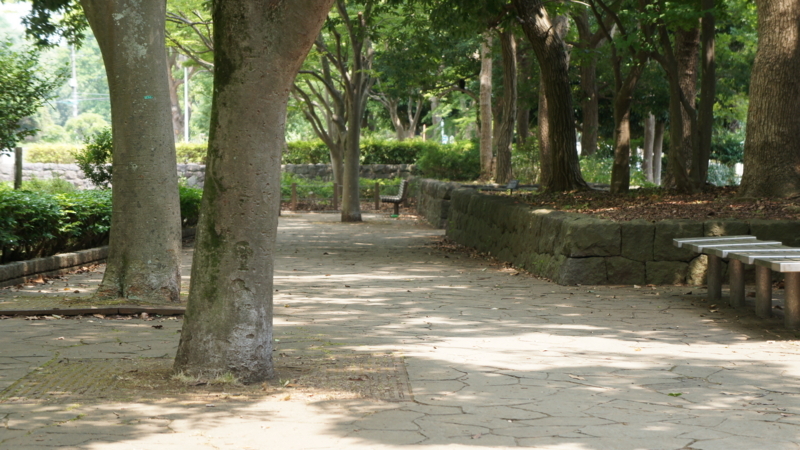 f:id:htcb8810:20170720011837j:plain f:id:htcb8810:20170720011837j:plain