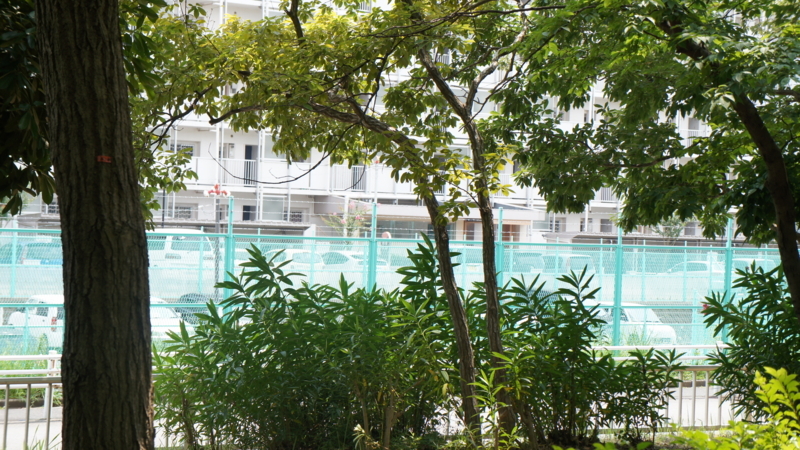 f:id:htcb8810:20170720011840j:plain f:id:htcb8810:20170720011840j:plain