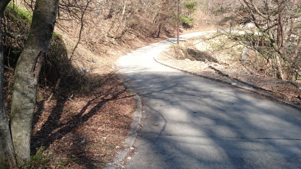 f:id:htcb8810:20180409232737j:plain