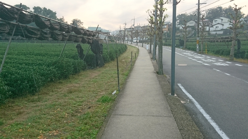 f:id:htcb8810:20191109042438j:plain f:id:htcb8810:20191109042438j:plain