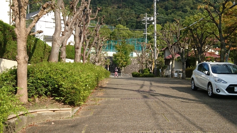 f:id:htcb8810:20191109044056j:plain f:id:htcb8810:20191109044056j:plain