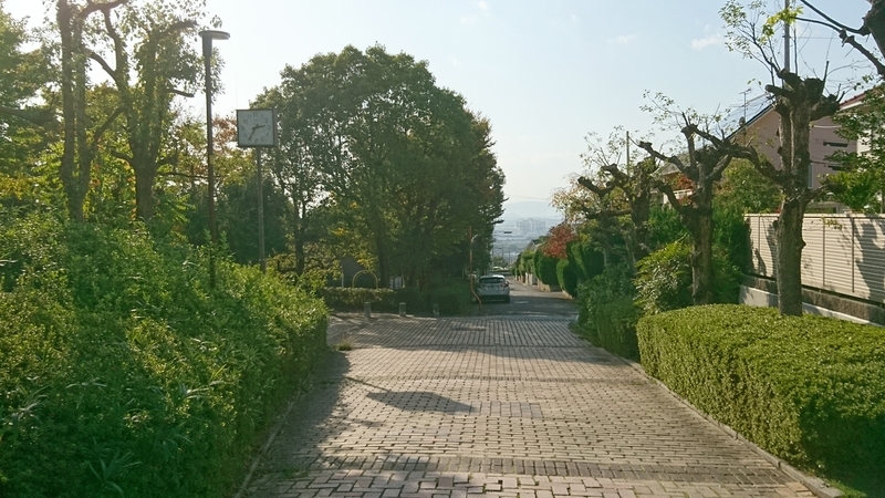 f:id:htcb8810:20191109044158j:plain f:id:htcb8810:20191109044158j:plain