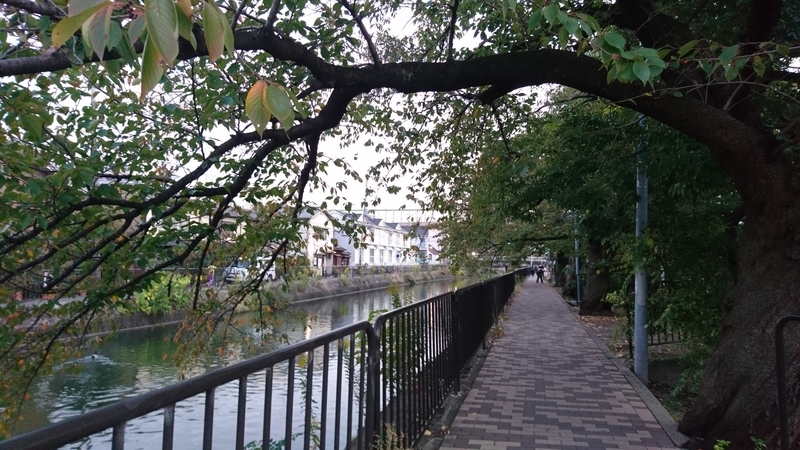 f:id:htcb8810:20191109044613j:plain