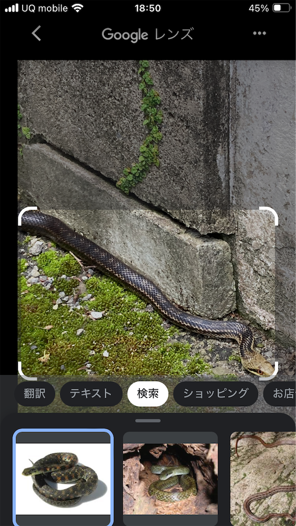 f:id:htn8hatch:20240517080117p:image