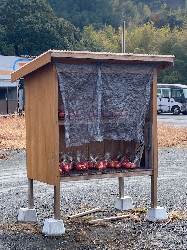 f:id:htn8hatch:20250107083202j:image