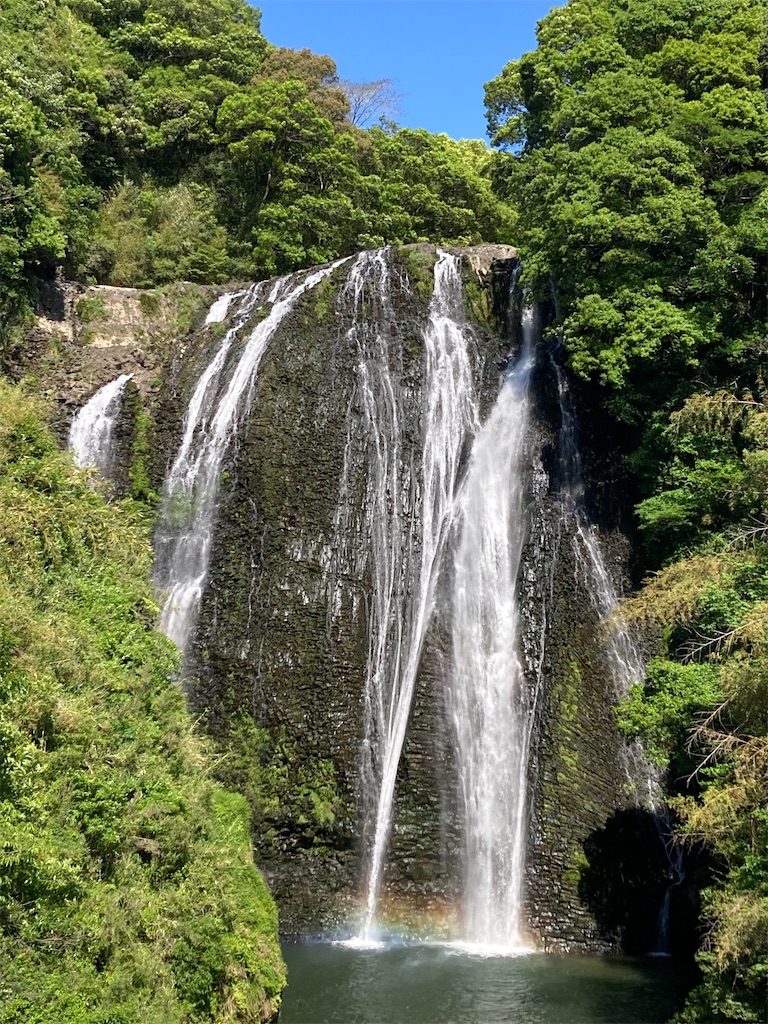 f:id:htn8hatch:20250512122245j:image f:id:htn8hatch:20250512122245j:image