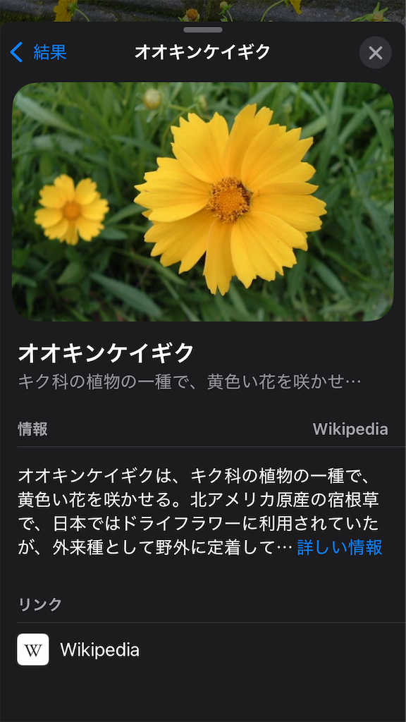 f:id:htn8hatch:20250525121154p:image