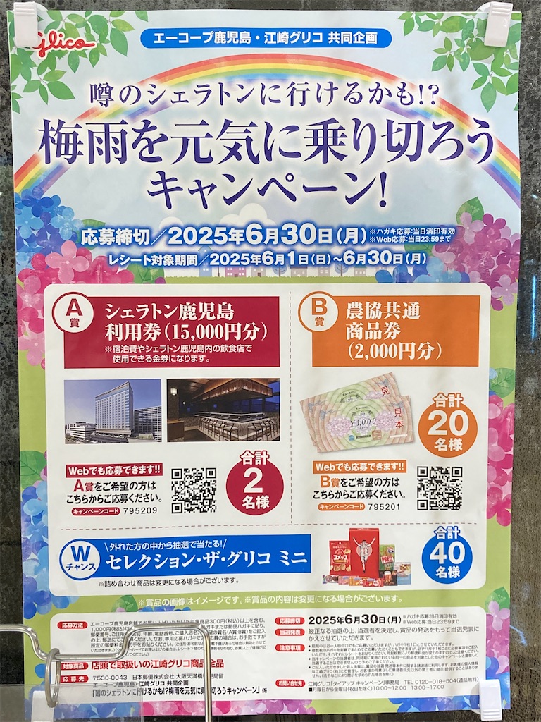 f:id:htn8hatch:20250622002733j:image