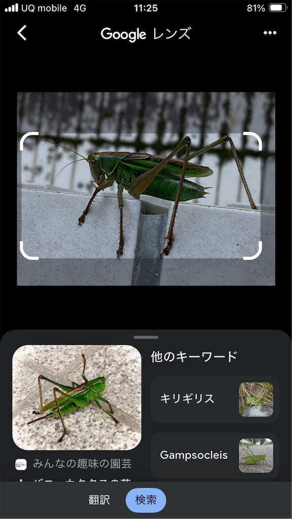 f:id:htn8hatch:20250805235655p:image