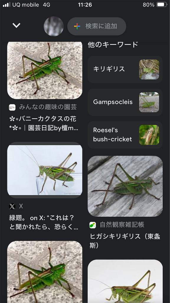 f:id:htn8hatch:20250806000147p:image