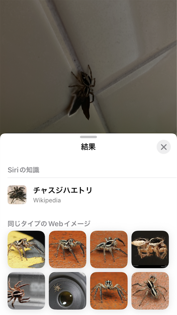 f:id:htn8hatch:20251005115231p:image f:id:htn8hatch:20251005115231p:image