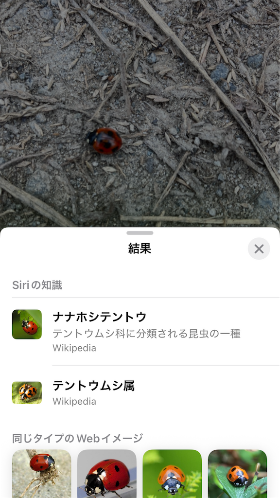 f:id:htn8hatch:20251101112147p:image