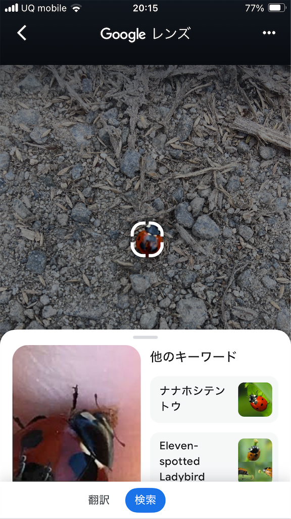 f:id:htn8hatch:20251101122618p:image