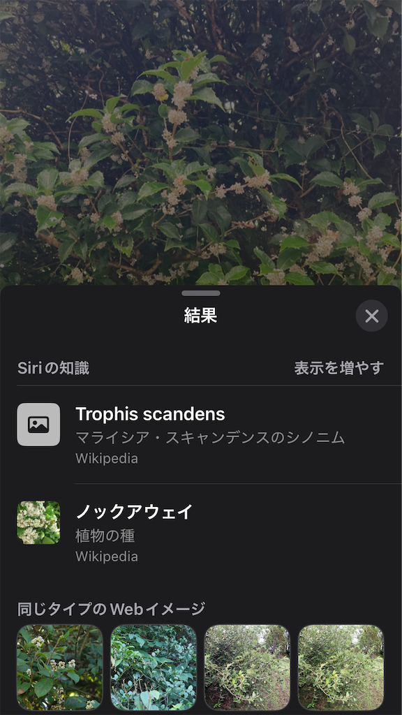 f:id:htn8hatch:20251115152836p:image f:id:htn8hatch:20251115152836p:image