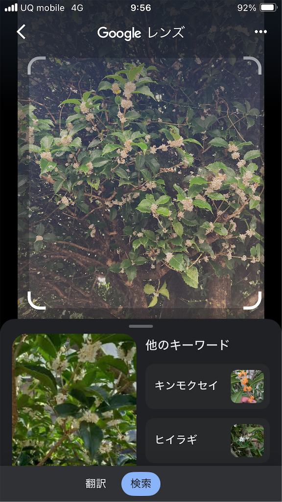 f:id:htn8hatch:20251115153627p:image f:id:htn8hatch:20251115153627p:image