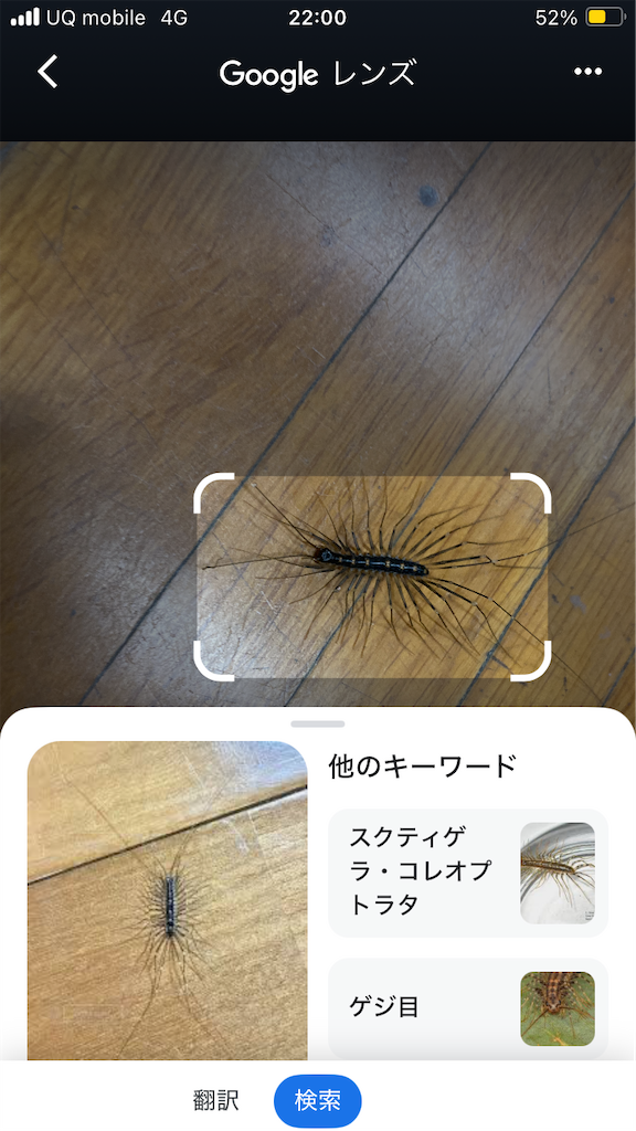 f:id:htn8hatch:20251121224803p:image