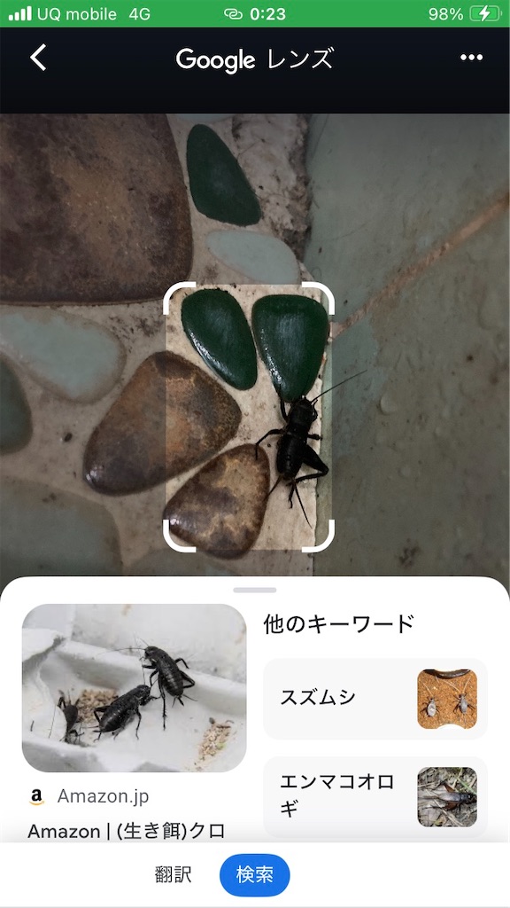 f:id:htn8hatch:20251214144326j:image