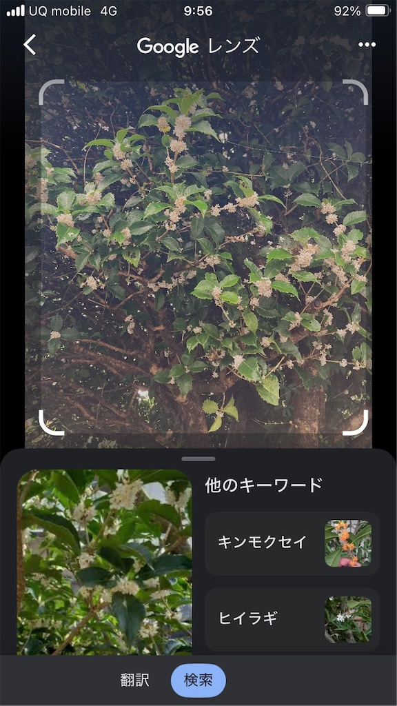 f:id:htn8hatch:20260111114401j:image