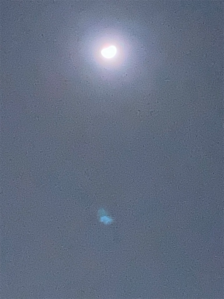 f:id:htn8hatch:20260303223842j:image f:id:htn8hatch:20260303223842j:image