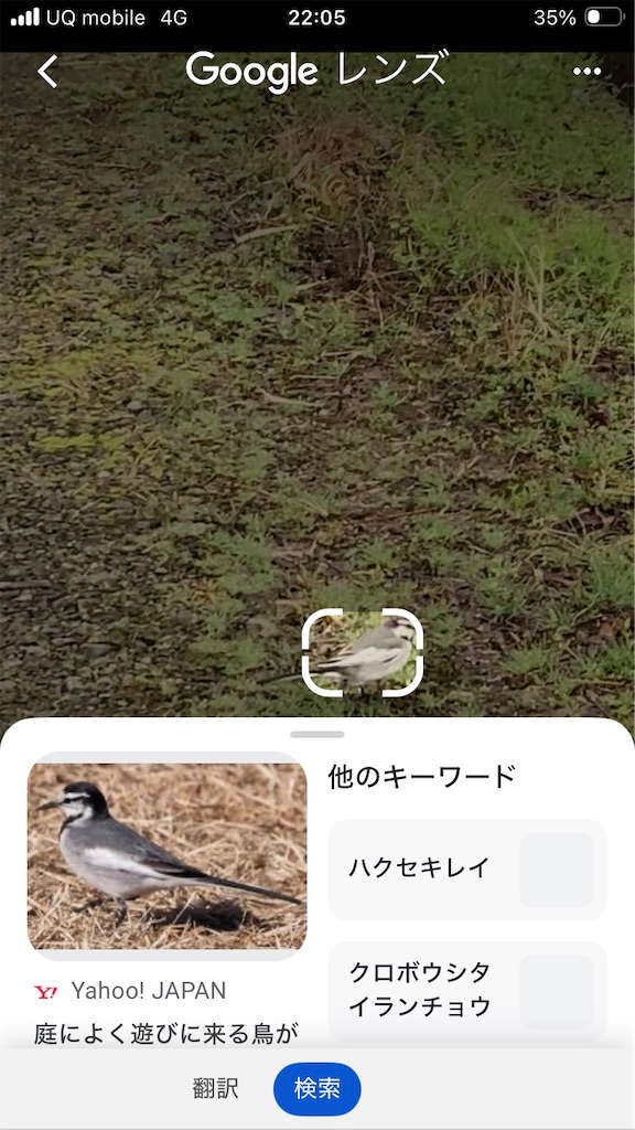 f:id:htn8hatch:20260308150215j:image