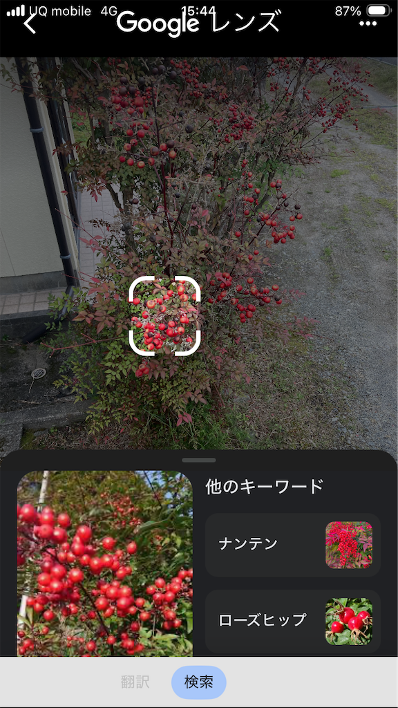 f:id:htn8hatch:20260321214627p:image