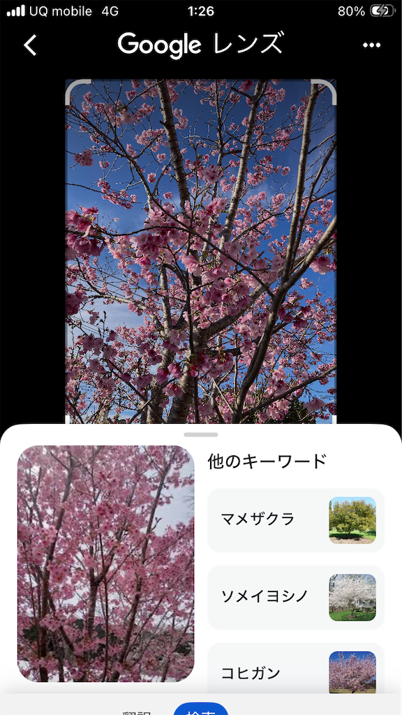 f:id:htn8hatch:20260324022452p:image