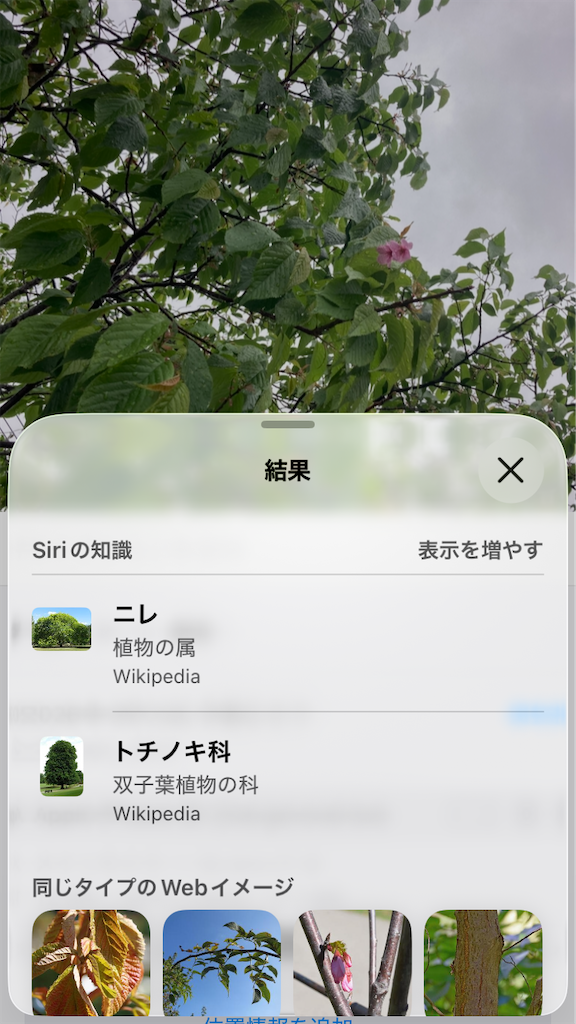f:id:htn8hatch:20260423091250p:image f:id:htn8hatch:20260423091250p:image
