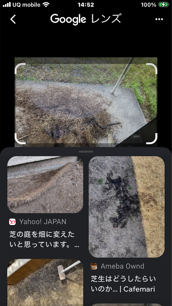 f:id:htn8hatch:20260524152557p:image