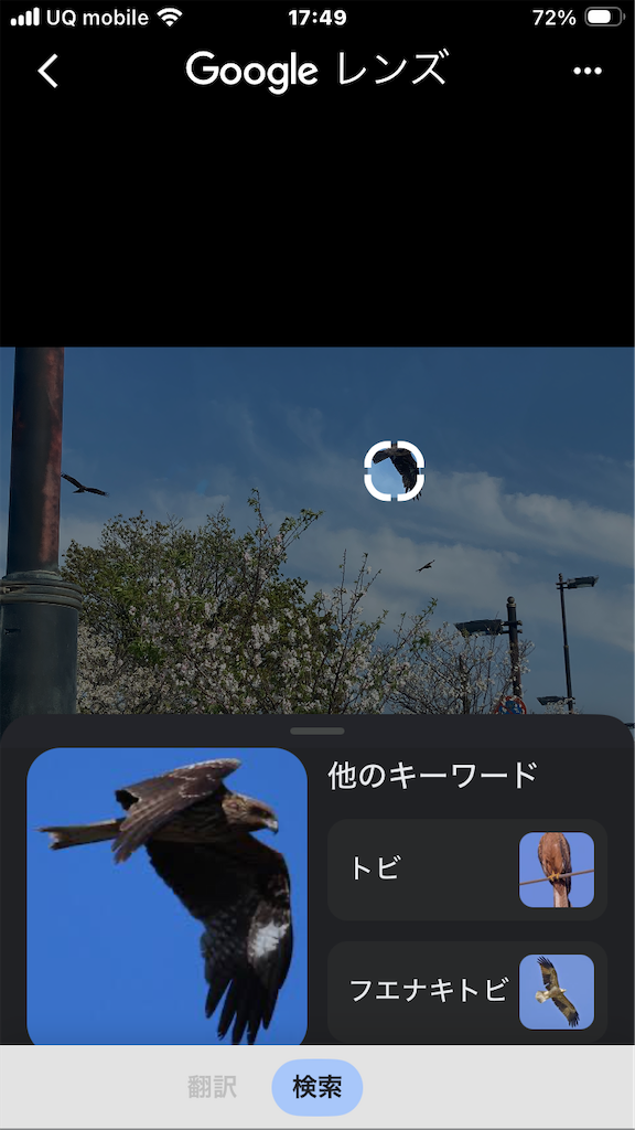f:id:htn8hatch:20260531182728p:image