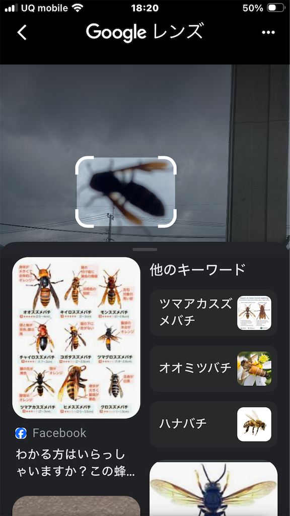 f:id:htn8hatch:20260705121031p:image