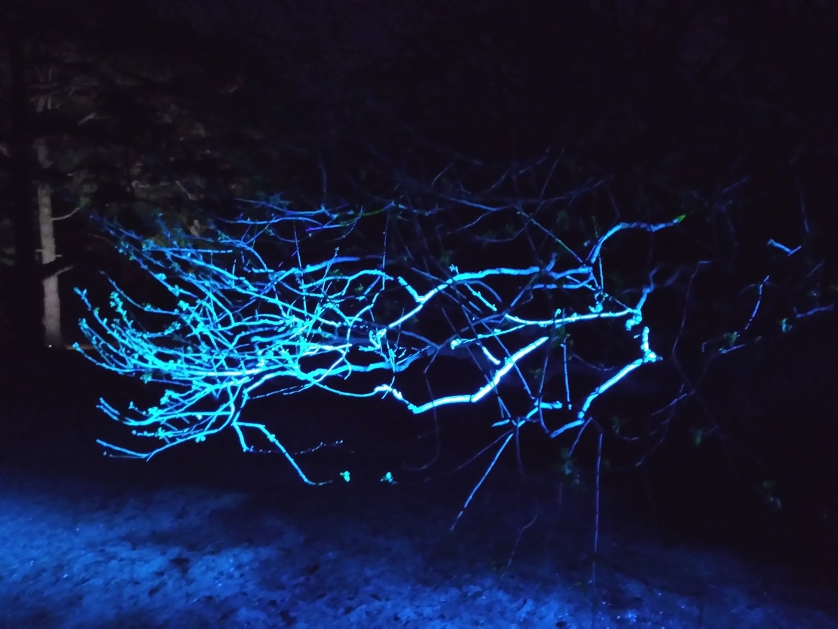 f:id:htnmiki:20190415203811j:plain f:id:htnmiki:20190415203811j:plain