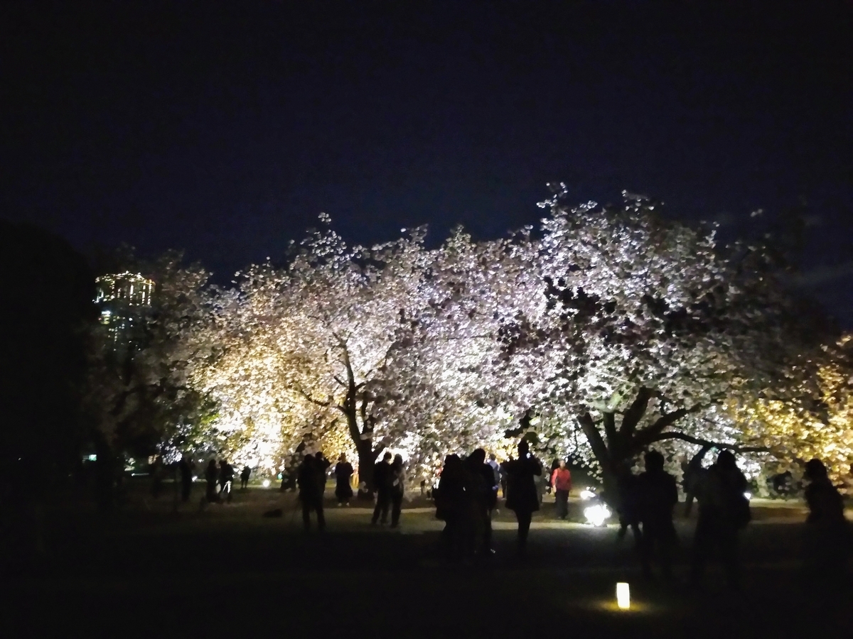 f:id:htnmiki:20190415203849j:plain f:id:htnmiki:20190415203849j:plain